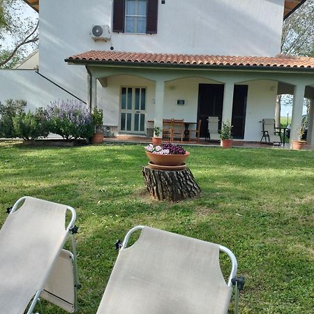 Agriturismo Uliveto Gretacci Montemerano Eksteriør billede