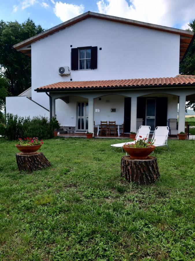 Agriturismo Uliveto Gretacci Montemerano Eksteriør billede