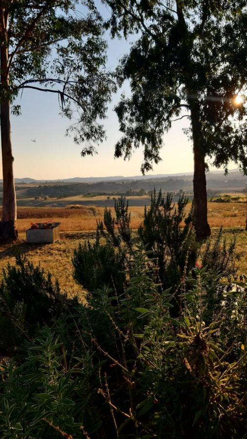 Agriturismo Uliveto Gretacci Montemerano Eksteriør billede