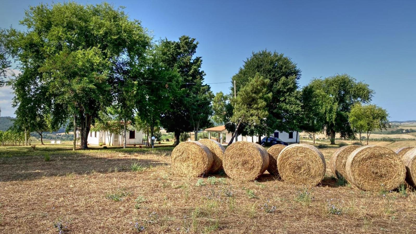 Agriturismo Uliveto Gretacci Montemerano Eksteriør billede