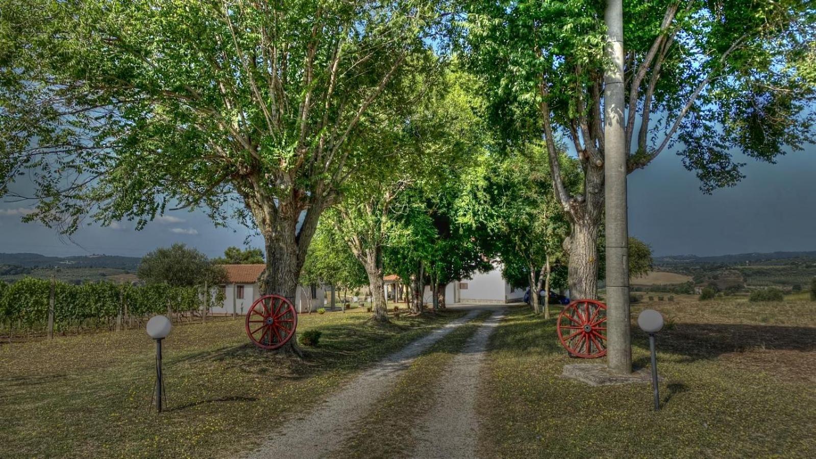 Agriturismo Uliveto Gretacci Montemerano Eksteriør billede