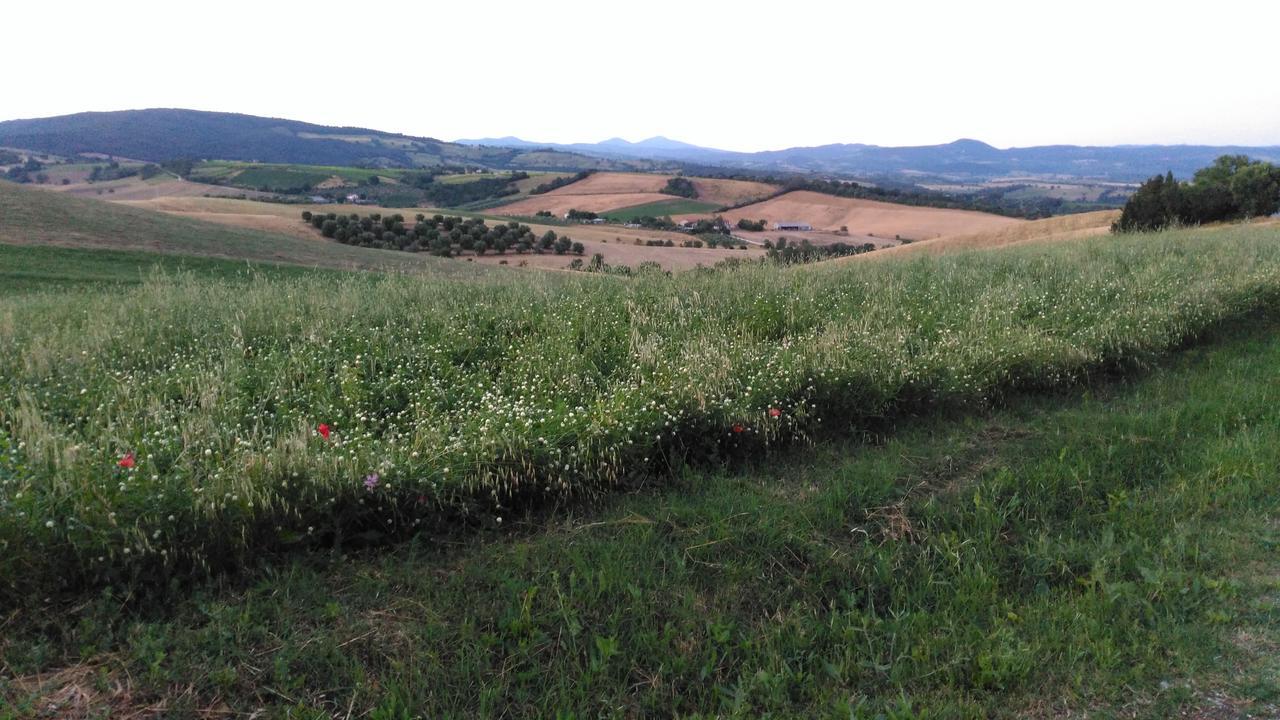 Agriturismo Uliveto Gretacci Montemerano Eksteriør billede