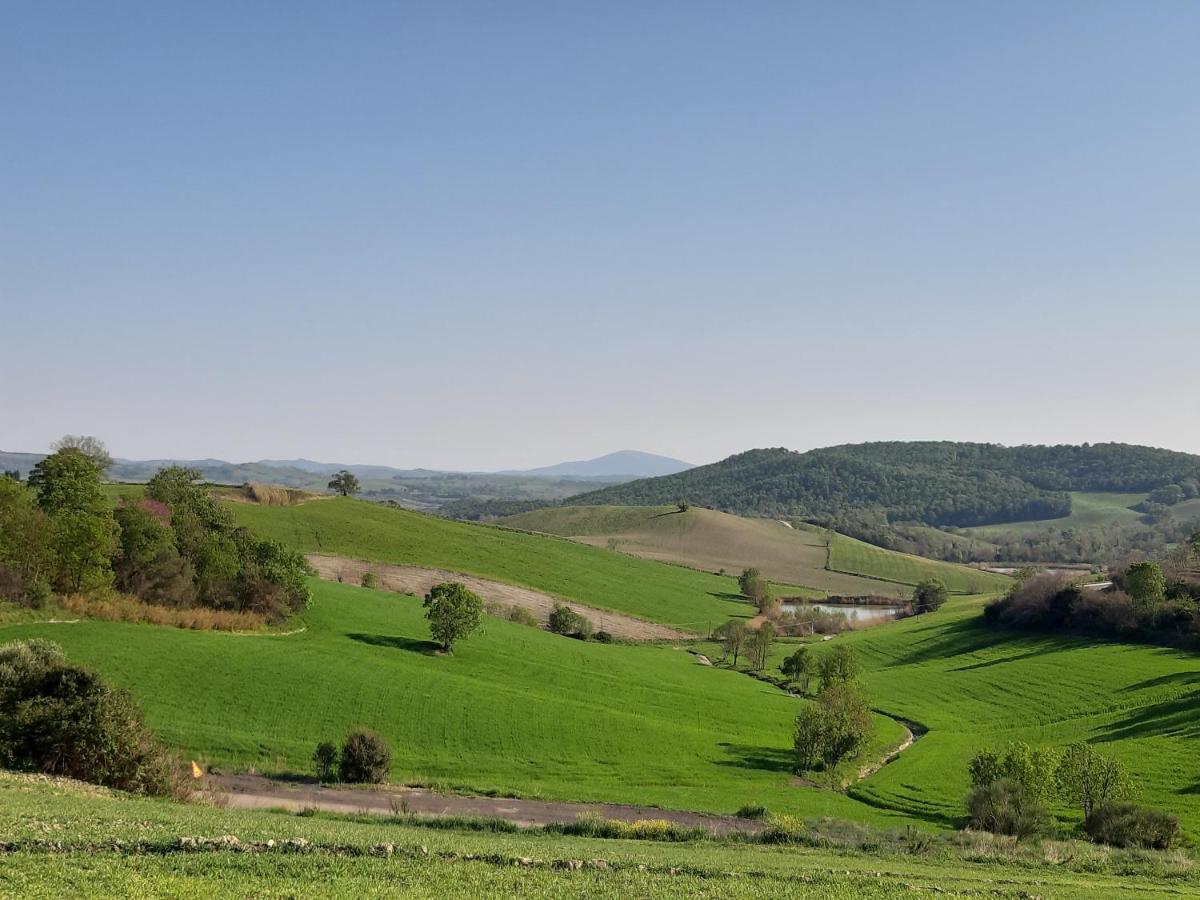 Agriturismo Uliveto Gretacci Montemerano Eksteriør billede