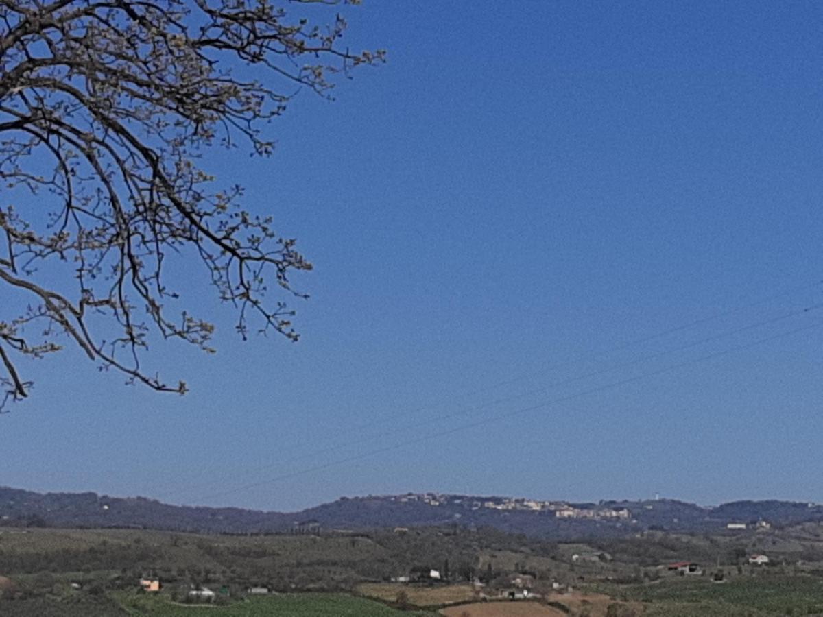 Agriturismo Uliveto Gretacci Montemerano Eksteriør billede